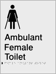 Female Ambulant Toilet - Polypropylene - Silver
